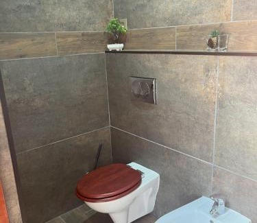 Kielce Apartamento | Apartament ORANŻERIA