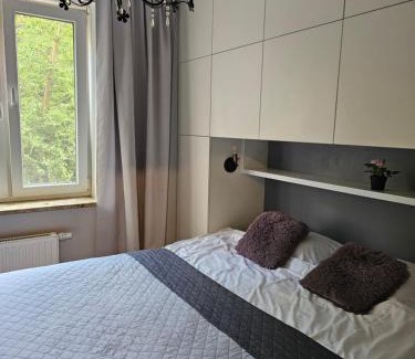 Torun Apartamento | Apartament Rodzinny - całodobowe zakwaterowanie, bezpłatny parking