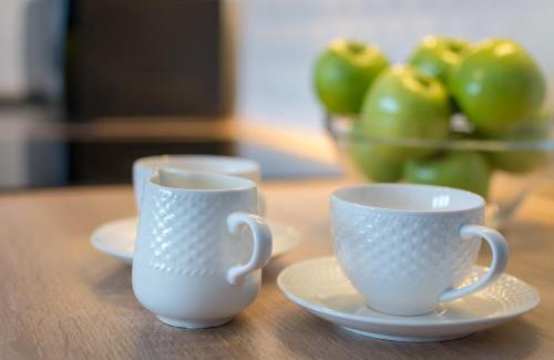 Ustrzyki Dolne Apartamento | Apartament Słoneczny