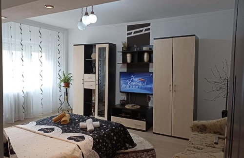 Baile Herculane Apartamento | Apartament Sofy