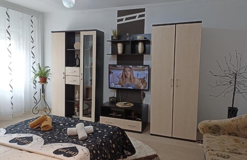 Baile Herculane Apartamento | Apartament Sofy
