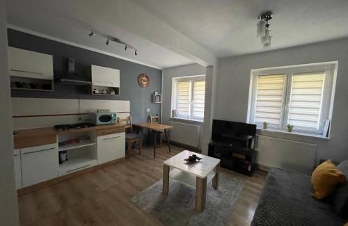 Gliwice Apartamento | Apartament w Centrum Cichy Zakątek
