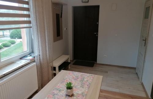 Bodzentyn Apartamento | Apartament z tarasem