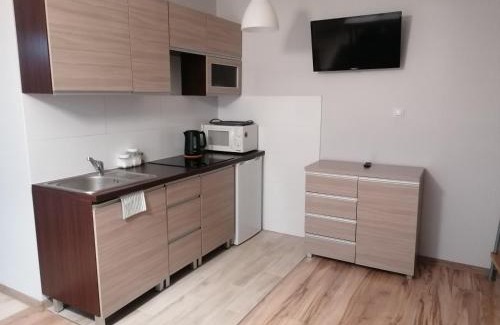 Bodzentyn Apartamento | Apartament z tarasem