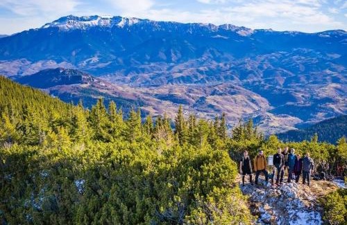 Zarnesti Apartamento | Apartament Zarnesti VMP Free Parking