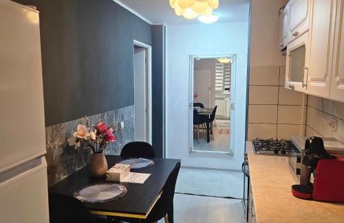 Zarnesti Apartamento | Apartament Zarnesti VMP Free Parking