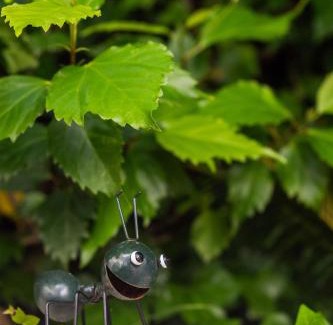 Arenal d'en Castell Apartamento | Apartamento CASTELLSOL 315 by Mauter Villas