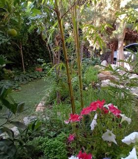 Villaviciosa de Odon Apartamento | Apartamento céntrico en Villaviciosa de Odon