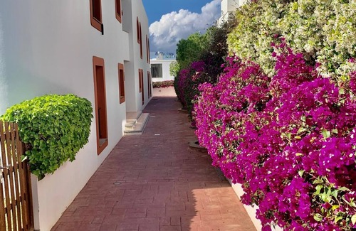 Isla de Ibiza Apartamento | Apartamento en Ibiza Illaplana, entre Marina Botafoch y la playa de Talamanca.