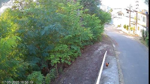 Muriae Apartamento | Apartamento Garden