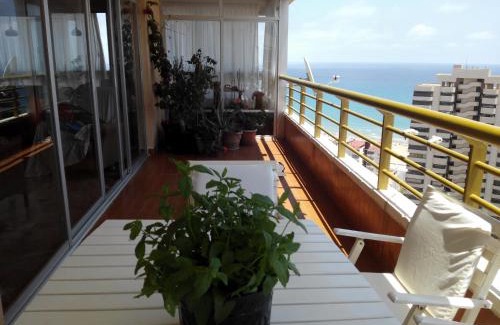Playa de San Juan Apartamento | Apartamento Leo Playa de San Juan