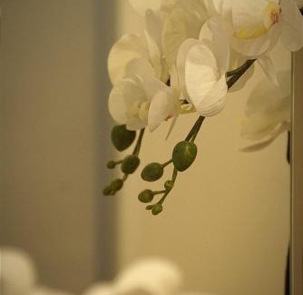 Valladolid Apartamento | Apartamento Paula