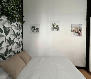 Torrelavega Apartamento | Apartamento Plaza Mayor - Torrelavega