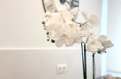 Santona Apartamento | Apartamento reformado en Santoña