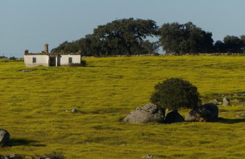 Villa del Rey Apartamento | Apartamentos Rurales Las Grullas