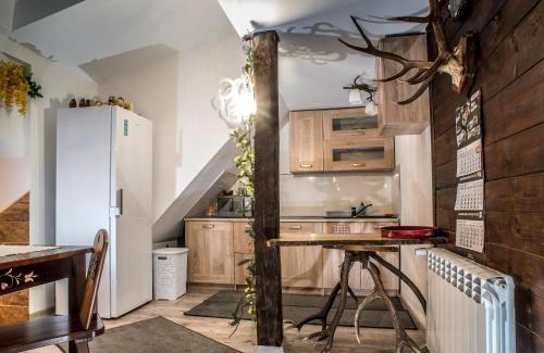 Czarna Gora Apartamento | Apartamenty Góraleczka z widokiem- pokój zabaw