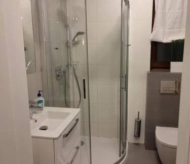 Szlachtowa Apartamento | Apartamenty Szczawnica A2