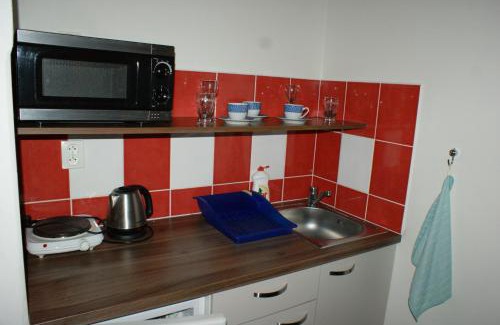 Horni Plana Apartamento | Apartmá Lipno