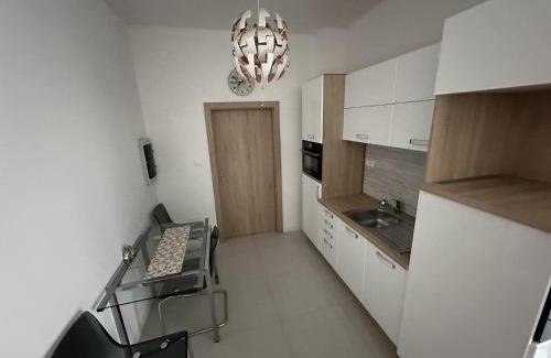 Piestany Apartamento | Apartmán Lodenica