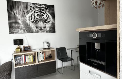 Piestany Apartamento | Apartmán Lodenica