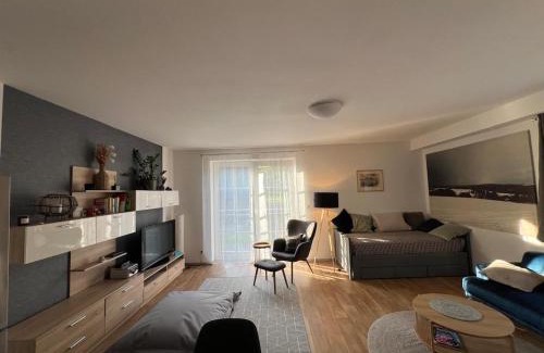 Ricky v Orlickych horach Apartamento | Apartmán Mařinka