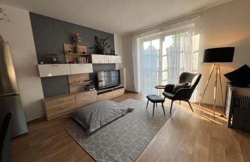 Ricky v Orlickych horach Apartamento | Apartmán Mařinka