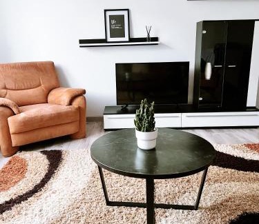 Stara Lubovna Apartamento | Apartmán Mierová