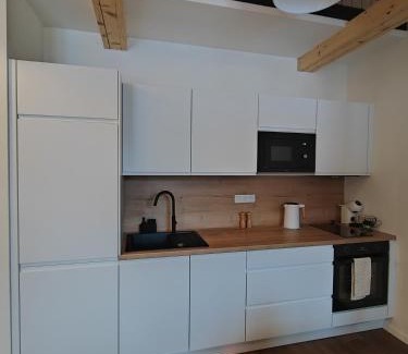 Janov nad Nisou Apartamento | Apartmán Na Běžkách