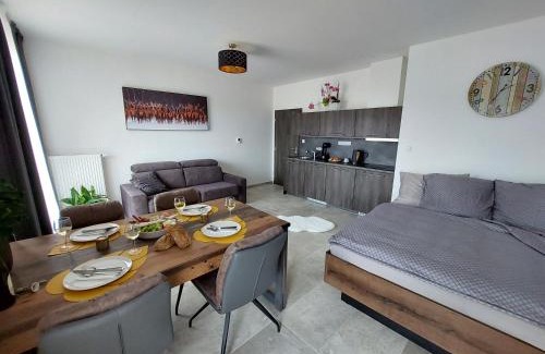 Zelezna Ruda Apartamento | Apartmán Rezidence Javor Železná Ruda