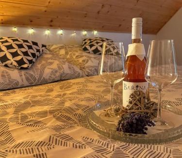 Jesenik Apartamento | Apartmán u Ještěrky s finskou saunou