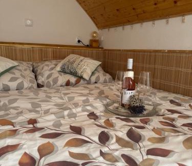 Jesenik Apartamento | Apartmán u Ještěrky s finskou saunou