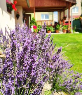 Spissky Stvrtok Apartamento | Apartmán Veronika