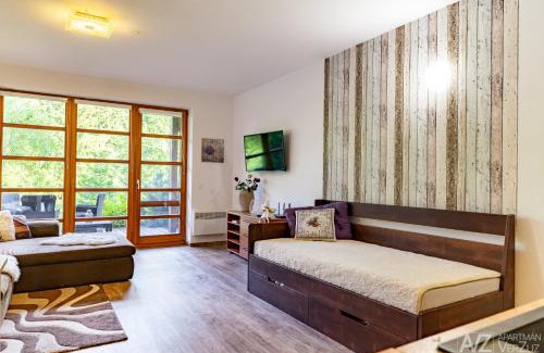 Ricky v Orlickych horach Apartamento | Apartmán VerZuz - Říčky v Orlických Horách