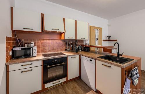 Ricky v Orlickych horach Apartamento | Apartmán VerZuz - Říčky v Orlických Horách