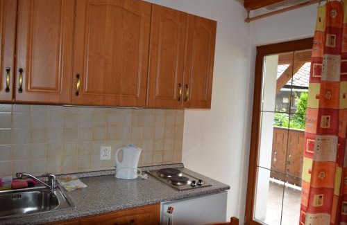 Zelezna Ruda Apartamento | Apartmány U Vaců
