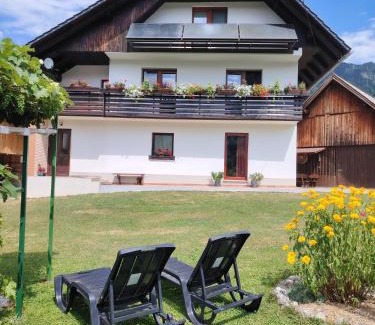Bohinj Apartamento | Apartma in soba pri Bregarju