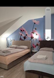 Banja Luka Apartamento | Apartman Ananas Banja Luka centar bolnica besplatan parking