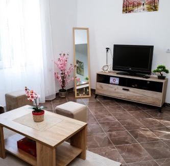 Mrcevac Apartamento | Apartman Arija