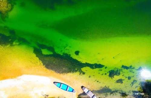 Mali Radic Apartamento | Apartman Capital Novi Grad