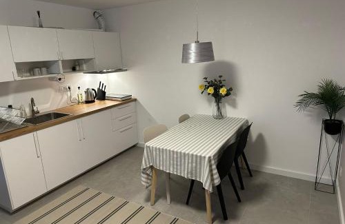 Dorcol Apartamento | Apartman Dorćol VS60