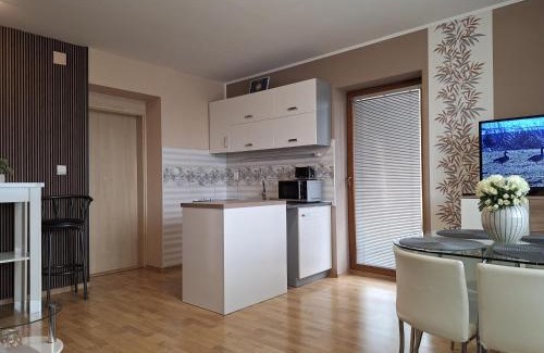 Liptovsky Mikulas Apartamento | Apartman Elegance