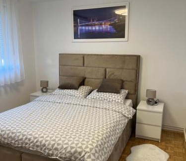 Osijek Apartamento | Apartman Luans