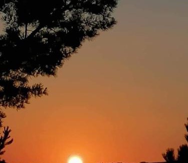 Zlatibor Casa | Apartman Marija