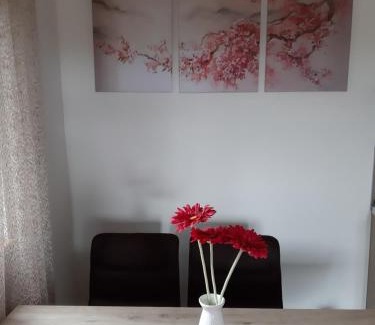 Zlatibor Apartamento | Apartman Nana Svetogorska 19 ,stan 17