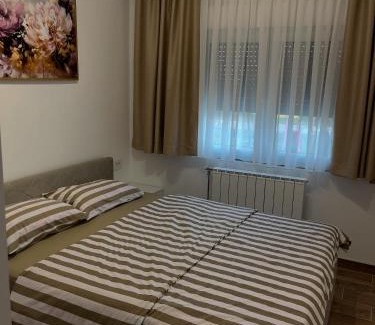 Bijeljina Apartamento | Apartman Nikolic