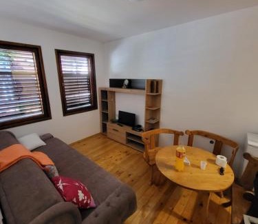 Pluzine Apartamento | Apartman Perović