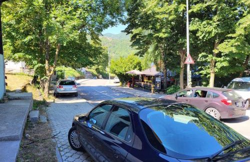 Pluzine Apartamento | Apartman Perović