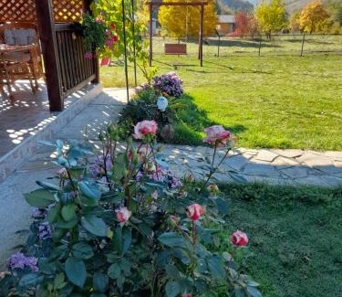 Mokra Gora Apartamento | Apartman Petar