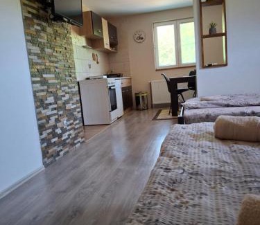 Mokra Gora Apartamento | Apartman Petar