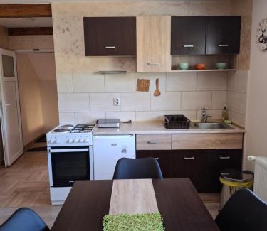 Mokra Gora Apartamento | Apartman Petar